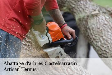 Abattage d'arbres  castelsarrasin-82100 Artisan Ternus