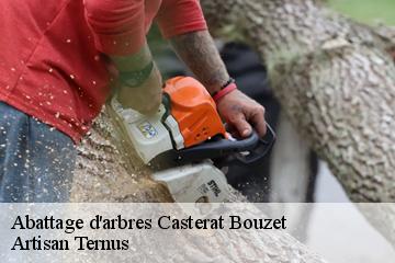 Abattage d'arbres  casterat-bouzet-82120 Artisan Ternus
