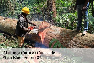 Abattage d'arbres caussade-82300 Steis Elagage pro 82