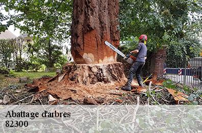 Abattage d'arbres 82300