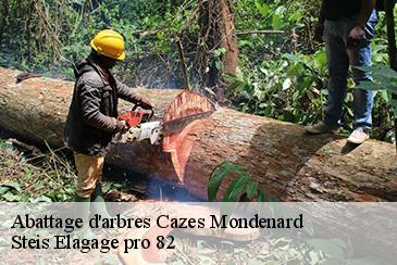 Abattage d'arbres cazes-mondenard-82110 Steis Elagage pro 82