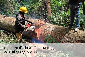 Abattage d'arbres comberouger-82600 Steis Elagage pro 82