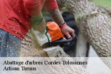 Abattage d'arbres  cordes-tolosannes-82700 Artisan Ternus