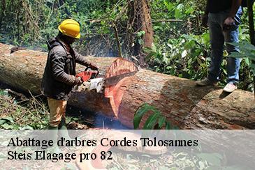 Abattage d'arbres cordes-tolosannes-82700 Steis Elagage pro 82