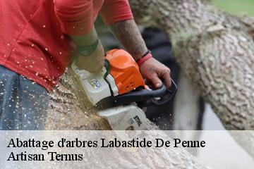 Abattage d'arbres  labastide-de-penne-82240 Elagage Calvet
