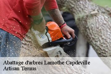 Abattage d'arbres  lamothe-capdeville-82130 Artisan Ternus