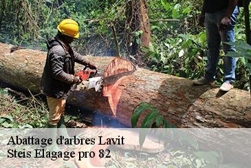 Abattage d'arbres lavit-82120 Steis Elagage pro 82