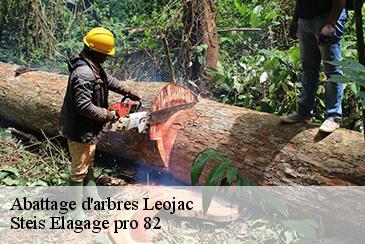 Abattage d'arbres  leojac-82230 Steis Elagage pro 82