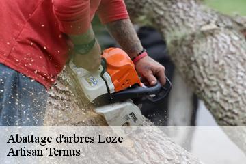 Abattage d'arbres  loze-82160 Artisan Ternus