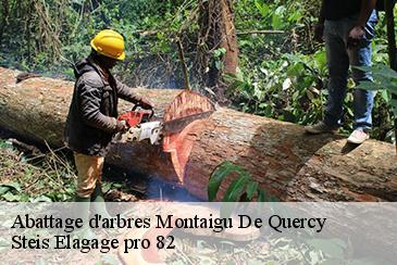 Abattage d'arbres  montaigu-de-quercy-82150 Steis Elagage pro 82