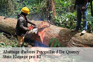 Abattage d'arbres puygaillard-de-quercy-82800 Steis Elagage pro 82