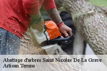 Abattage d'arbres  saint-nicolas-de-la-grave-82210 Artisan Ternus