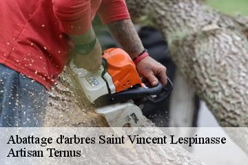 Abattage d'arbres  saint-vincent-lespinasse-82400 Artisan Ternus