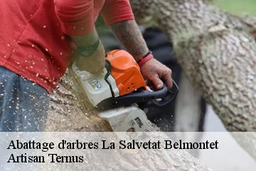 Abattage d'arbres  la-salvetat-belmontet-82230 Artisan Ternus