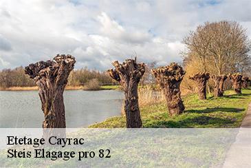 Etetage  cayrac-82440 Steis Elagage pro 82