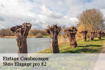 Etetage comberouger-82600 Steis Elagage pro 82
