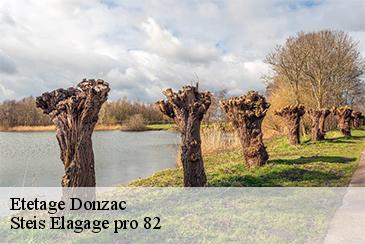 Etetage  donzac-82340 Steis Elagage pro 82