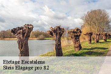 Etetage  escatalens-82700 Steis Elagage pro 82