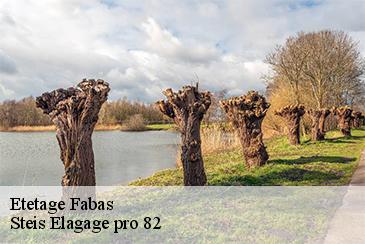 Etetage  fabas-82170 Steis Elagage pro 82
