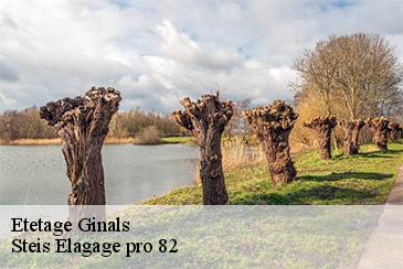 Etetage ginals-82330 Steis Elagage pro 82
