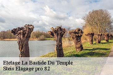 Etetage la-bastide-du-temple-82100 Steis Elagage pro 82