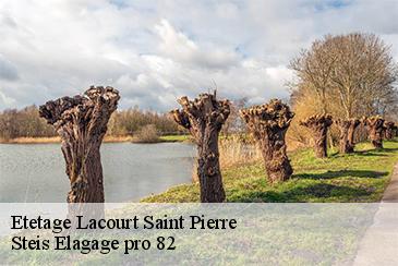 Etetage lacourt-saint-pierre-82290 Steis Elagage pro 82