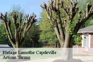 Etetage  lamothe-capdeville-82130 Artisan Ternus