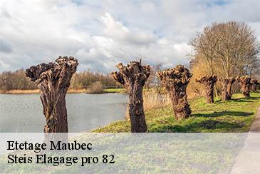 Etetage  maubec-82500 Steis Elagage pro 82