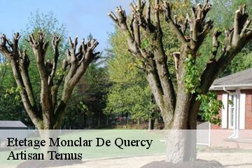 Etetage  monclar-de-quercy-82230 Artisan Ternus