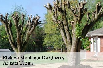 Etetage  montaigu-de-quercy-82150 Artisan Ternus