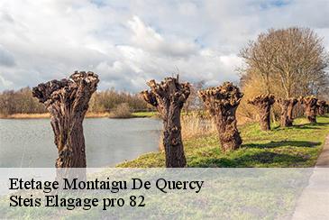 Etetage  montaigu-de-quercy-82150 Steis Elagage pro 82