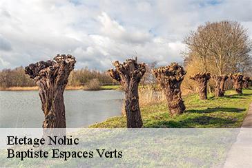 Etetage nohic-82370 Baptiste Espaces Verts