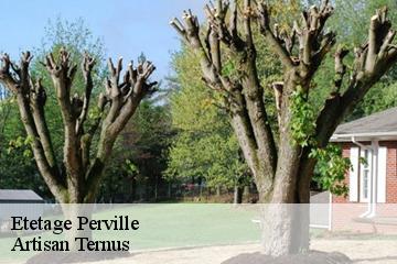 Etetage  perville-82400 Artisan Ternus
