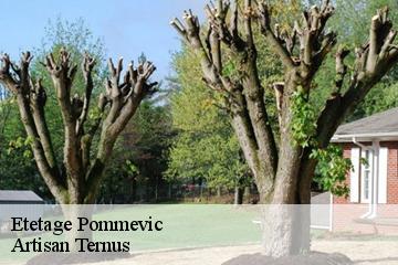Etetage  pommevic-82400 Artisan Ternus