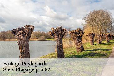 Etetage  puylagarde-82160 Steis Elagage pro 82