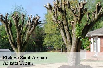 Etetage  saint-aignan-82100 Artisan Ternus