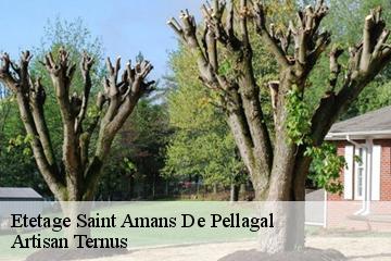 Etetage  saint-amans-de-pellagal-82110 Artisan Ternus