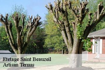 Etetage  saint-beauzeil-82150 Artisan Ternus