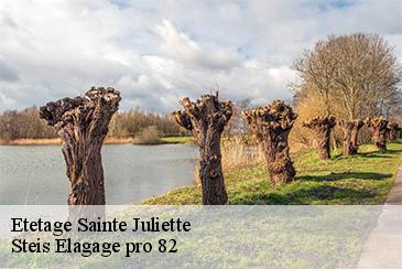 Etetage  sainte-juliette-82110 Steis Elagage pro 82