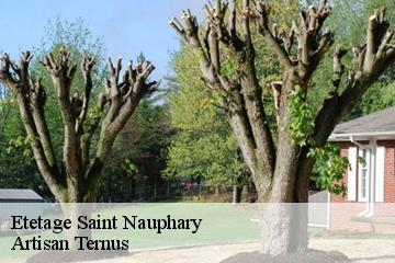 Etetage  saint-nauphary-82370 Artisan Ternus