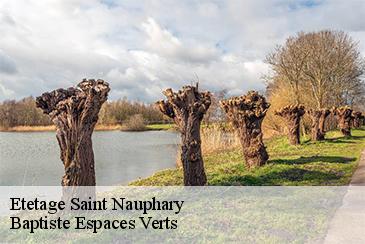 Etetage  saint-nauphary-82370 Baptiste Espaces Verts 