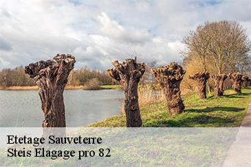 Etetage sauveterre-82110 Steis Elagage pro 82