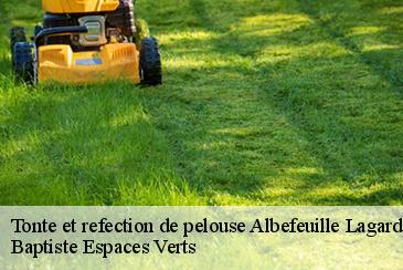 Tonte et refection de pelouse albefeuille-lagarde-82290