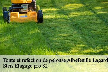 Tonte et refection de pelouse albefeuille-lagarde-82290 Steis Elagage pro 82