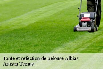 Tonte et refection de pelouse  albias-82350 Artisan Ternus
