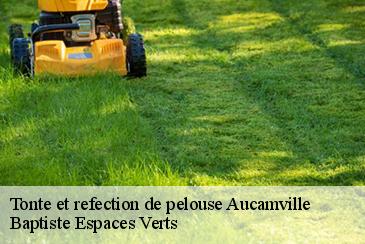 Tonte et refection de pelouse  aucamville-82600 Baptiste Espaces Verts 