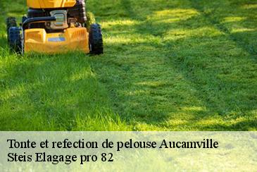 Tonte et refection de pelouse aucamville-82600 Steis Elagage pro 82