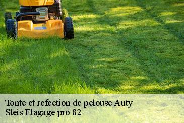 Tonte et refection de pelouse  auty-82220 Steis Elagage pro 82