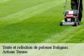 Tonte et refection de pelouse  balignac-82120 Artisan Ternus