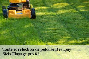 Tonte et refection de pelouse beaupuy-82600 Steis Elagage pro 82